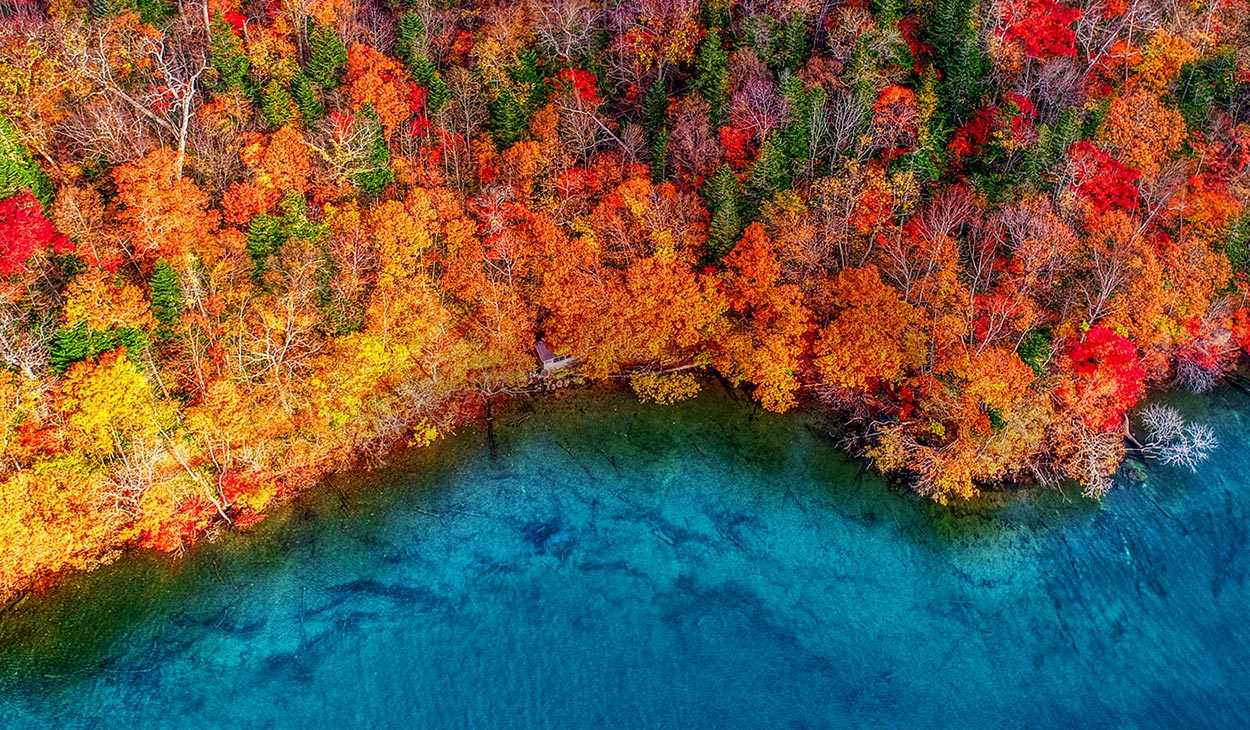 Nano Color - široký farebný rozsah