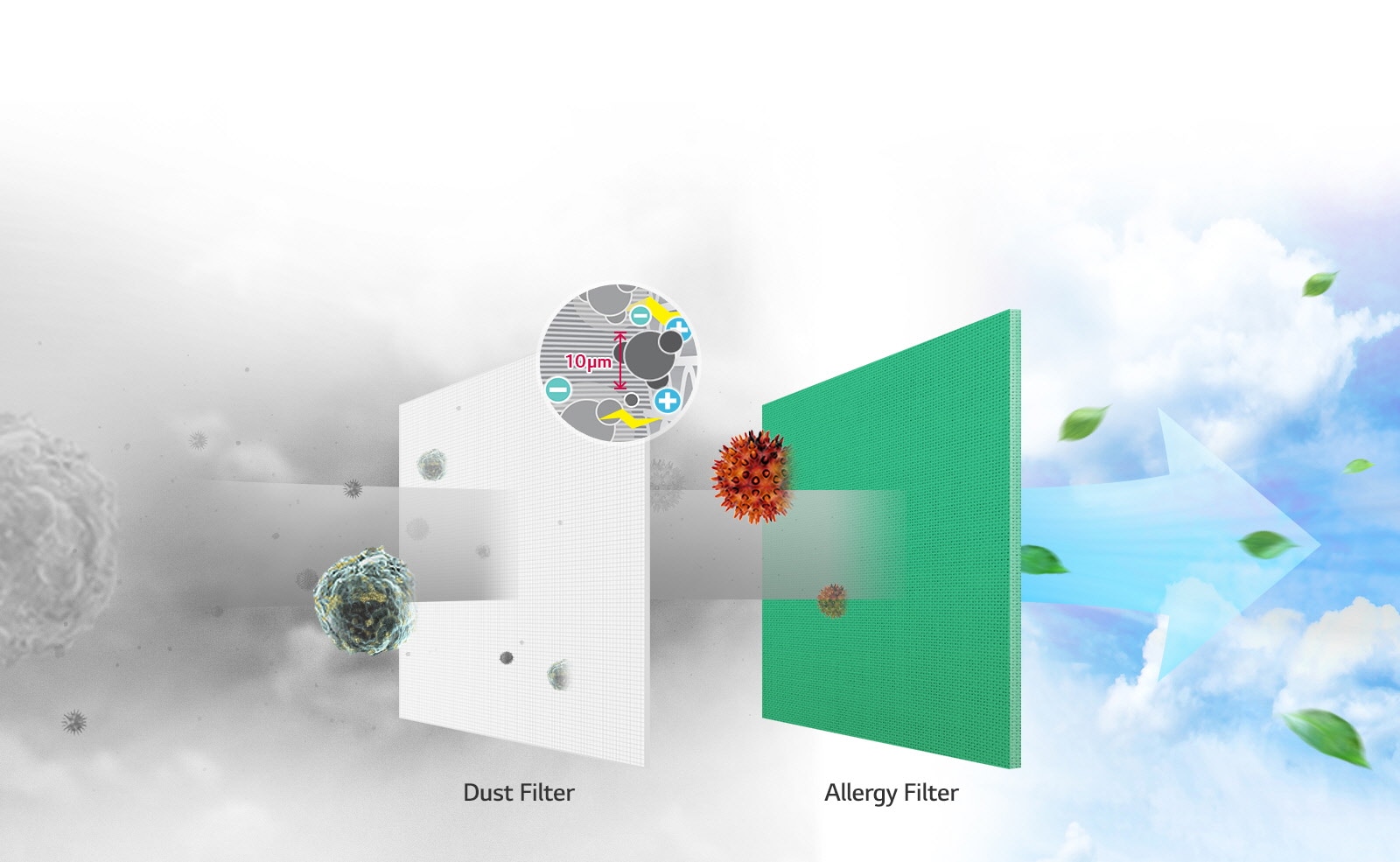 Filtrez les polluants non désirés