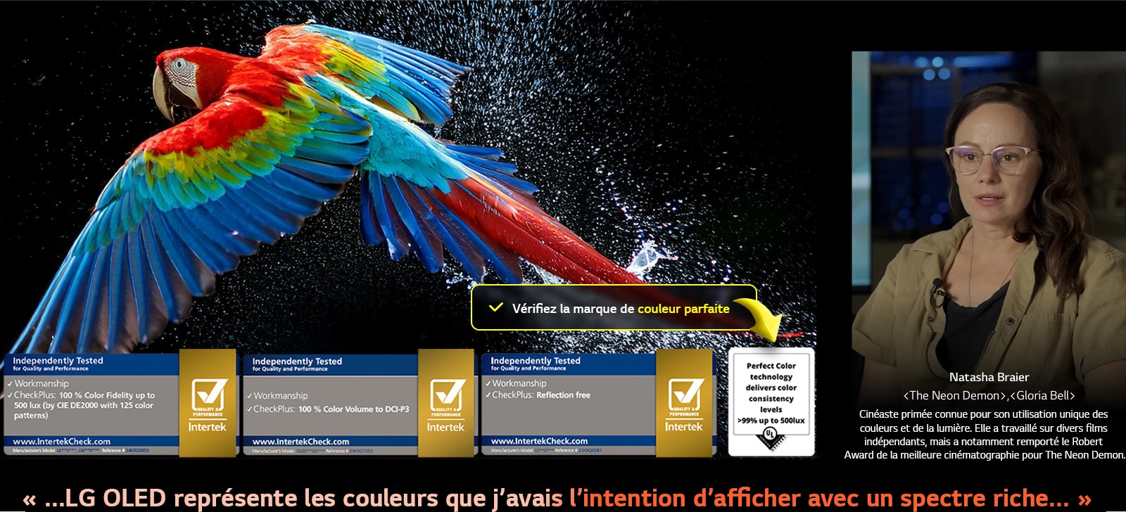 Perroquet coloré en ultra haute définition sur un fond noir. On voit des gouttes d’eau suspendues dans l’air tout autour. L’image présente la technologie Perfect Color, car chaque couleur différente du corps du perroquet est dynamique et éclatante. Le fond sombre avec les éclaboussures d’eau détaillées met également en valeur la protection de l’écran contre les reflets. Différentes certifications de logo UL et Intertek sont visibles. Celles-ci font référence aux technologies 100&nbsp;% de fidélité des couleurs, Volume de couleurs à 100&nbsp;% et à sa certification sans reflet. Le texte est également visible, vérifiez le logo de certification Perfect Color.