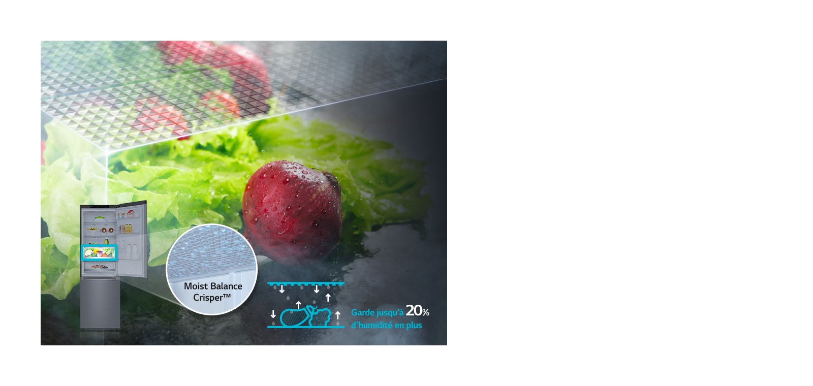 Moist Balance Crisper™