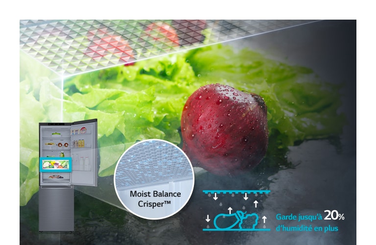 Moist Balance Crisper™