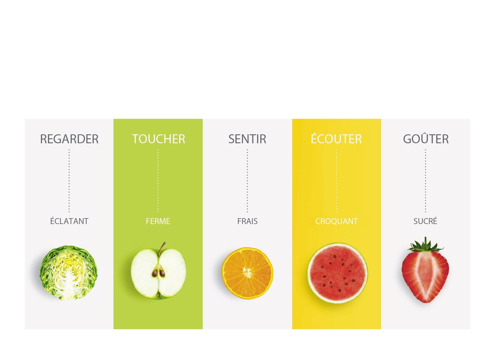 Aliments frais qui conservent toutes leurs saveurs