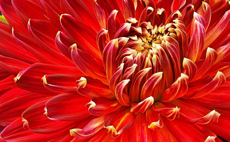 Une nouvelle dimension grâce à la Full-HD