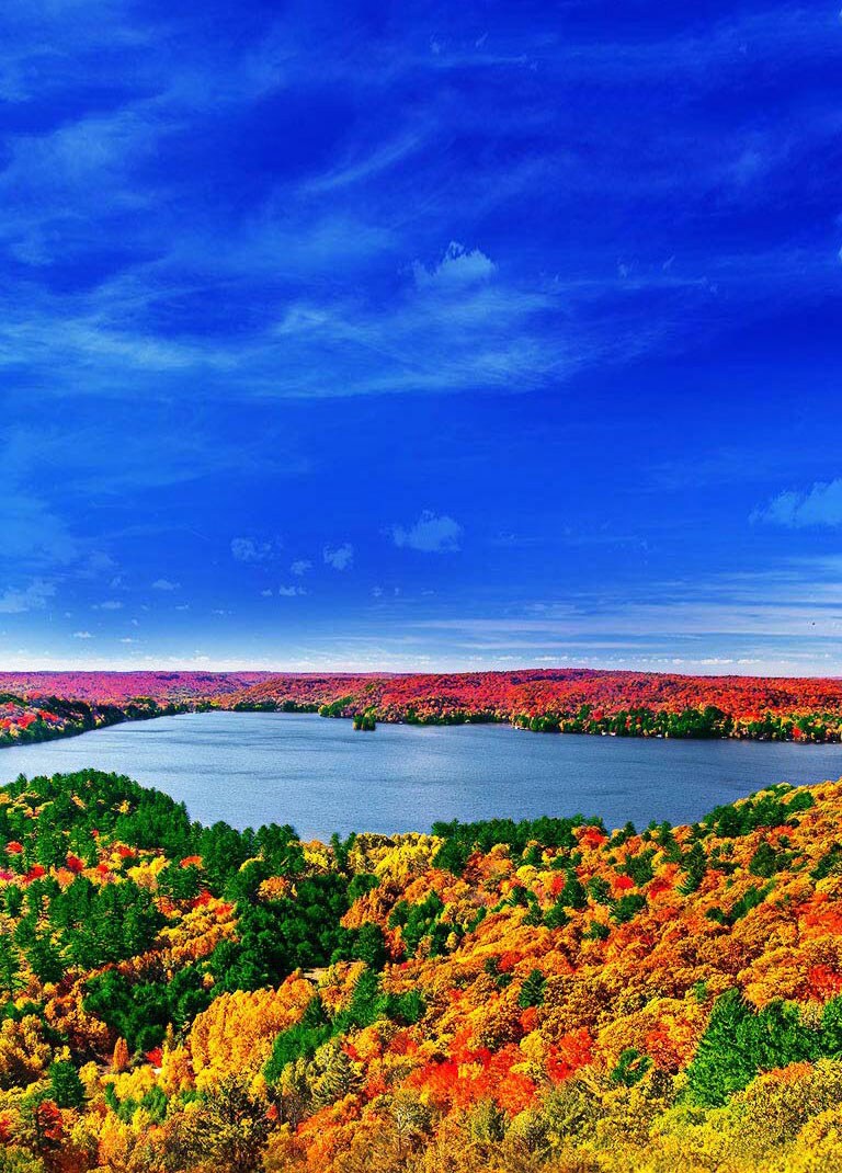 Processeur Quad Core: Plus de réalisme