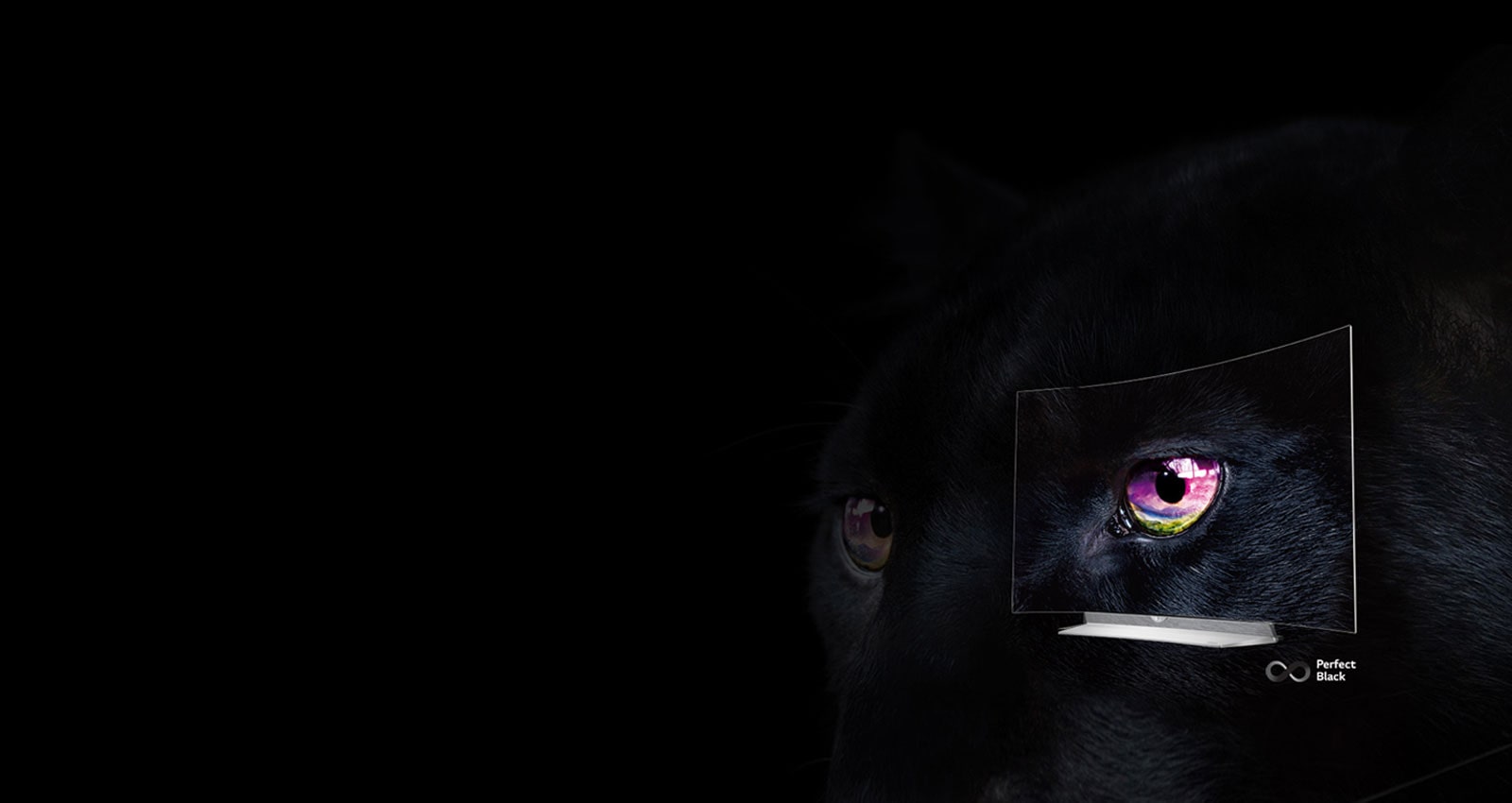 Noir Parfait, Couleurs Riches & Contraste Infini