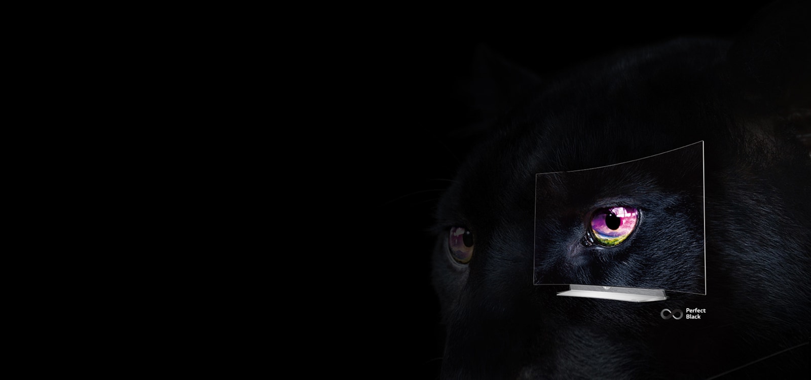 Noir Parfait, Couleurs Riches & Contraste Infini