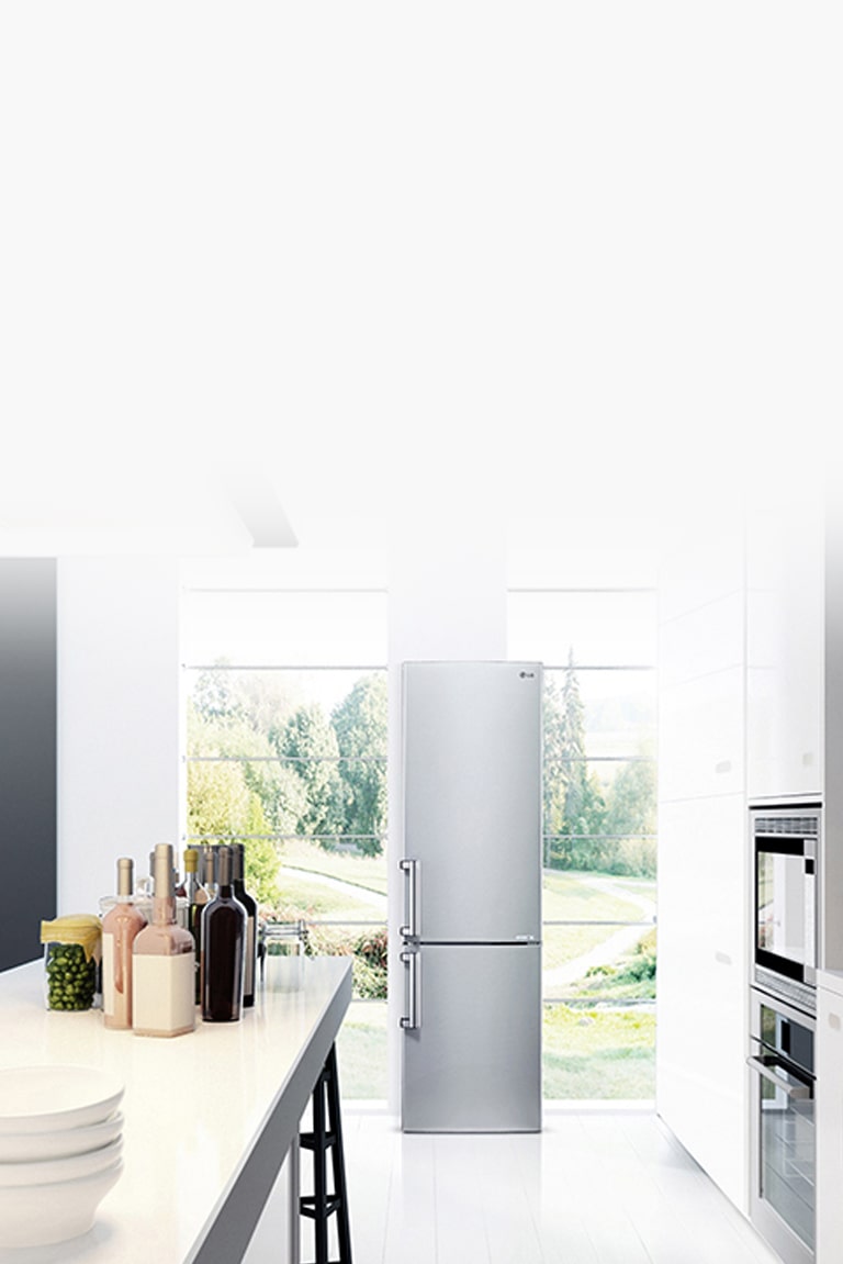 tn_cat_ref_feature_001