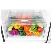 LG Congélateur supérieur en acier au graphite foncé IEC brut de&nbsp;333&nbsp;L avec compresseur à onduleur et flux d’air multiple, GN-B372SQCB, thumbnail 7