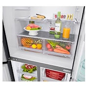 LG Réfrigérateurs multi-portes | InstaView Door-in-Door™ | 458L | Total No Frost | Compresseur Linéaire Inverter , GC-Q22FTQEL, thumbnail 8