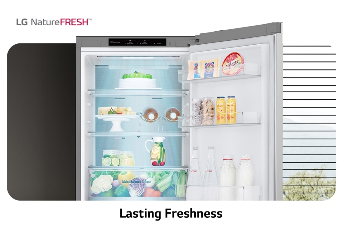 LG Réfrigérateur LG, congélateur en bas, capacité 344 litres, lasting freshness , GW-B459FS6W, thumbnail 11