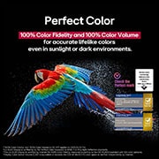 LG Smart TV LG OLED AI B5 4K 55 pouces 120 Hz Télécommande AI Magic Remote webOS25 2025 , Perroquet coloré en ultra haute définition sur un fond noir. On voit des gouttes d’eau suspendues dans l’air tout autour. L’image présente la technologie Perfect Color, car chaque couleur différente d, OLED55B56LA, thumbnail 7