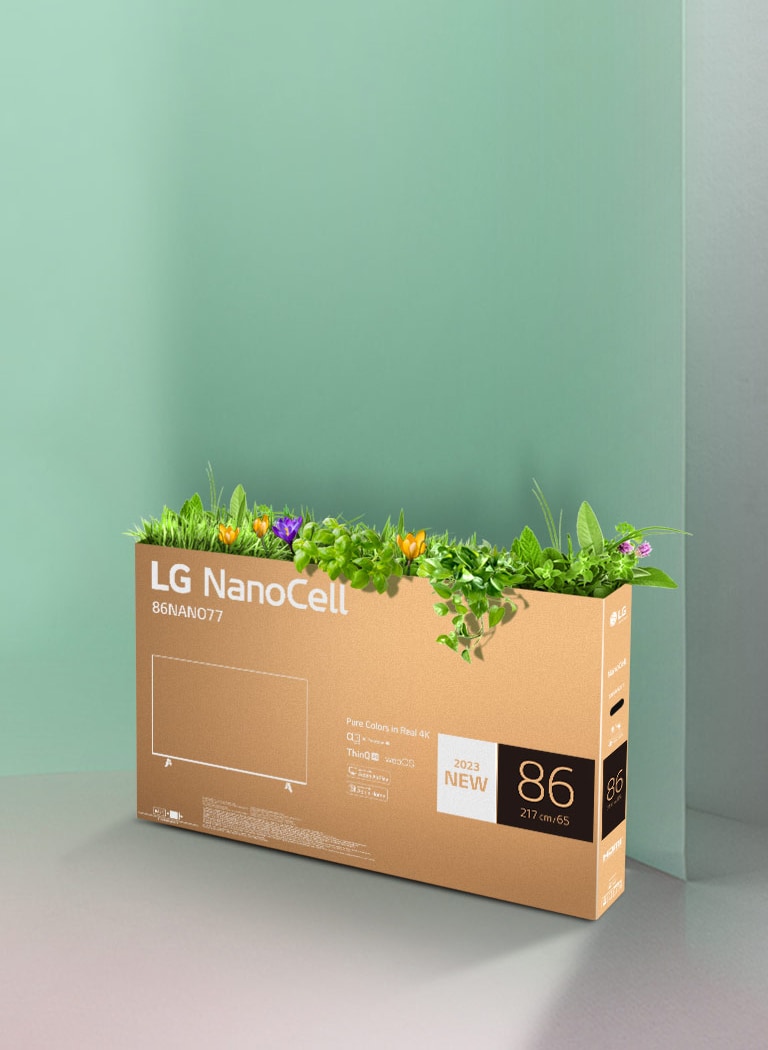LG NanoCell 電視的可回收包裝盒頂部長出花草。