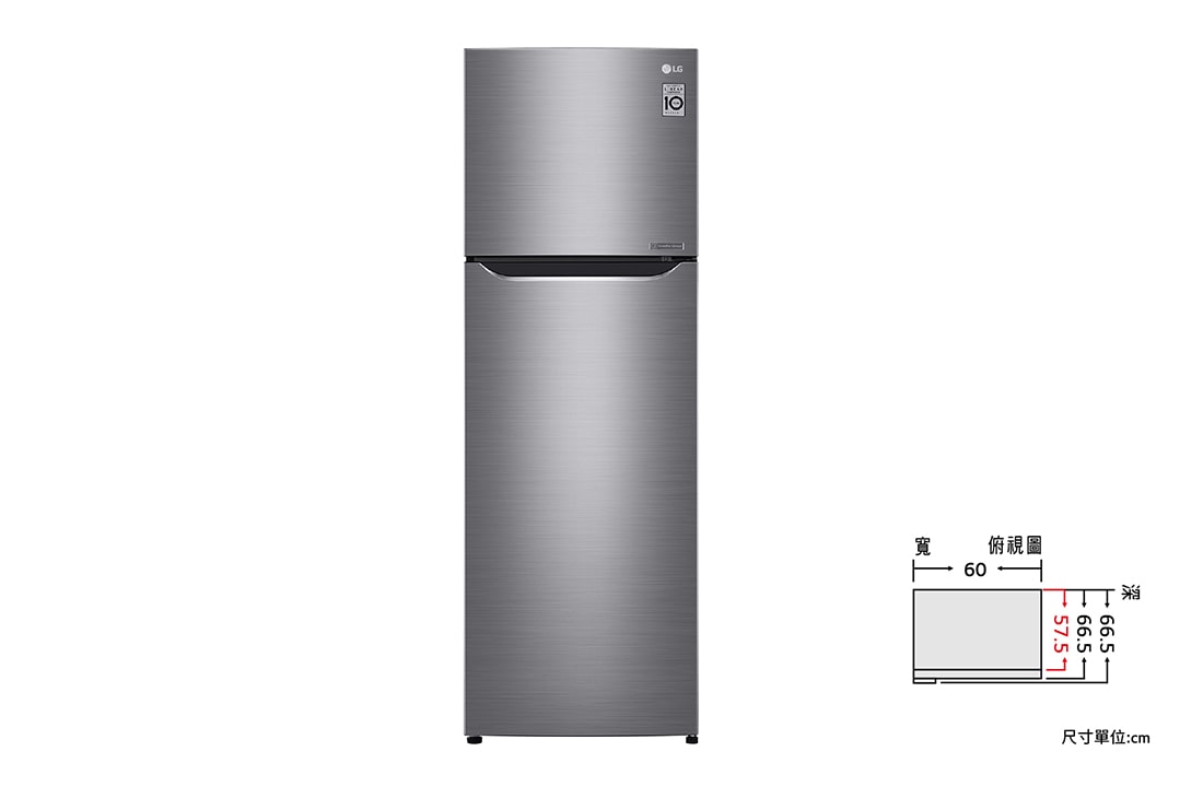 LG 直驅變頻雙門冰箱 / 星辰銀/315公升<br> (冷藏242/冷凍73), GN-L397SV