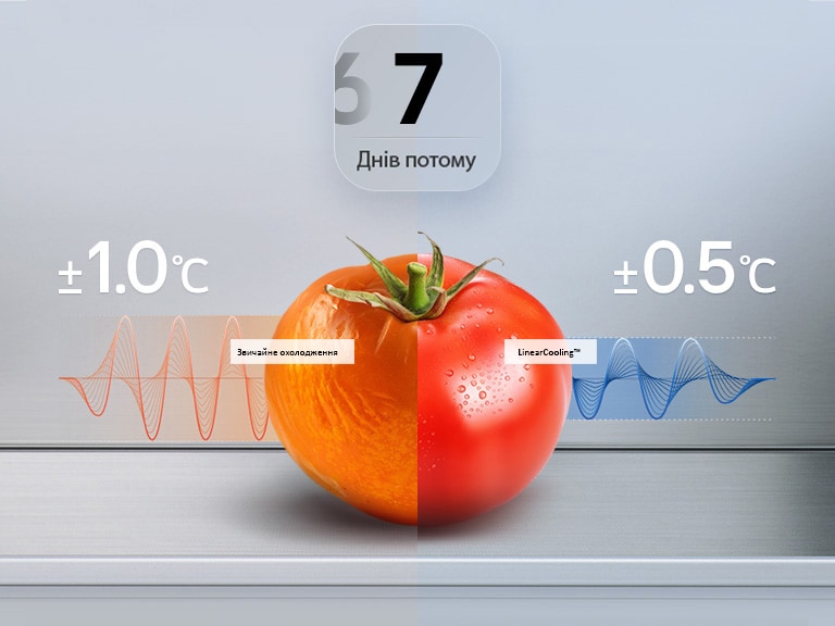 Холодильник LG із нижньою морозильною камерою, графік: помідор зів’яв після 7 днів із червоною кривою коливання температури та позначкою ±1,0°C.