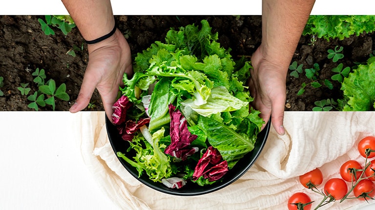 " Руки тримають на столі миску, наповнену свіжими овочами, ніби щойно зібраними з грядки."