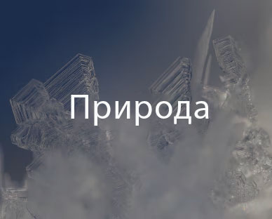 Обкладинка «Природа»