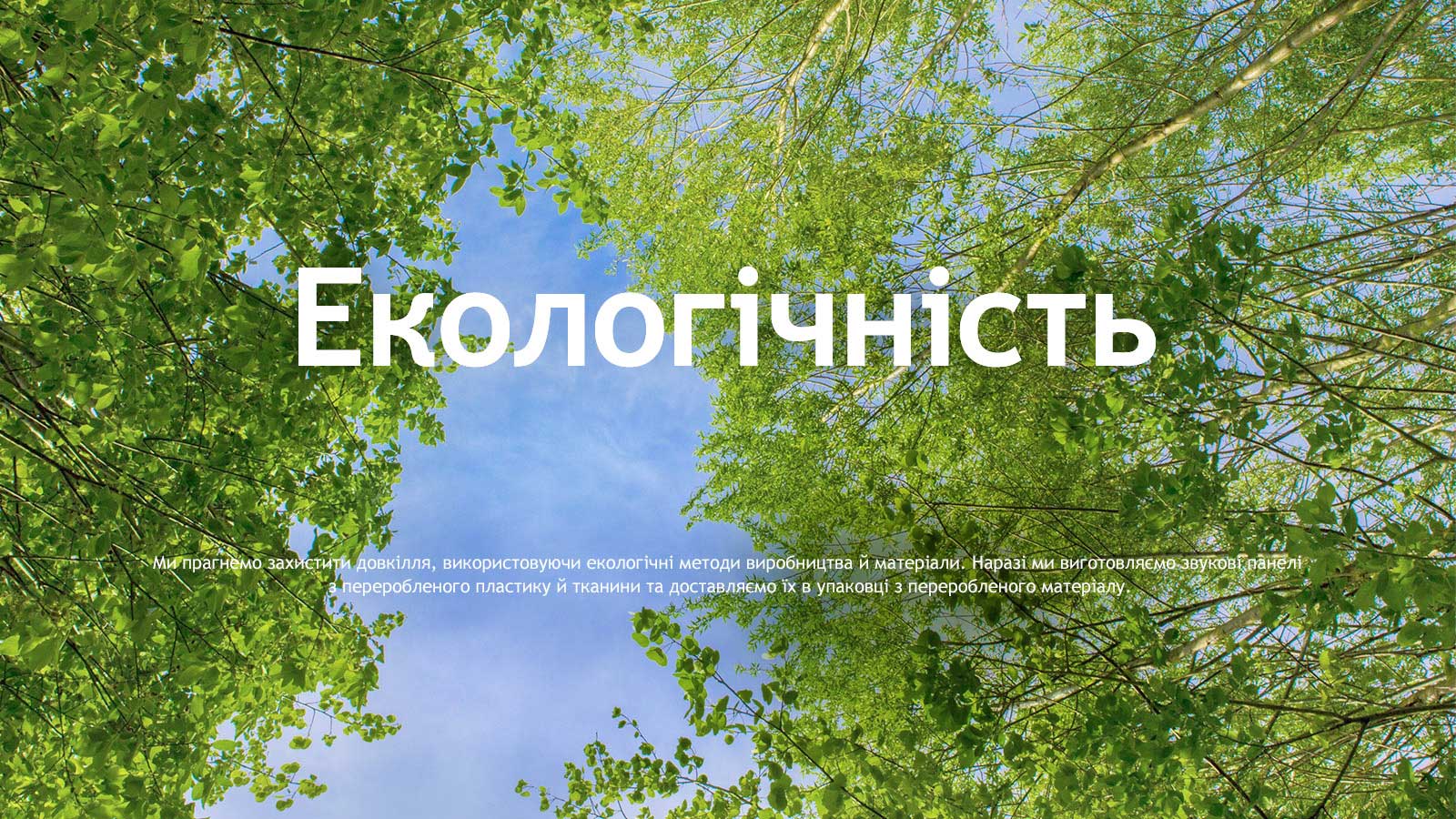 Зелене зображення, заповнене деревами з пишним листям і блакитним небом між ними