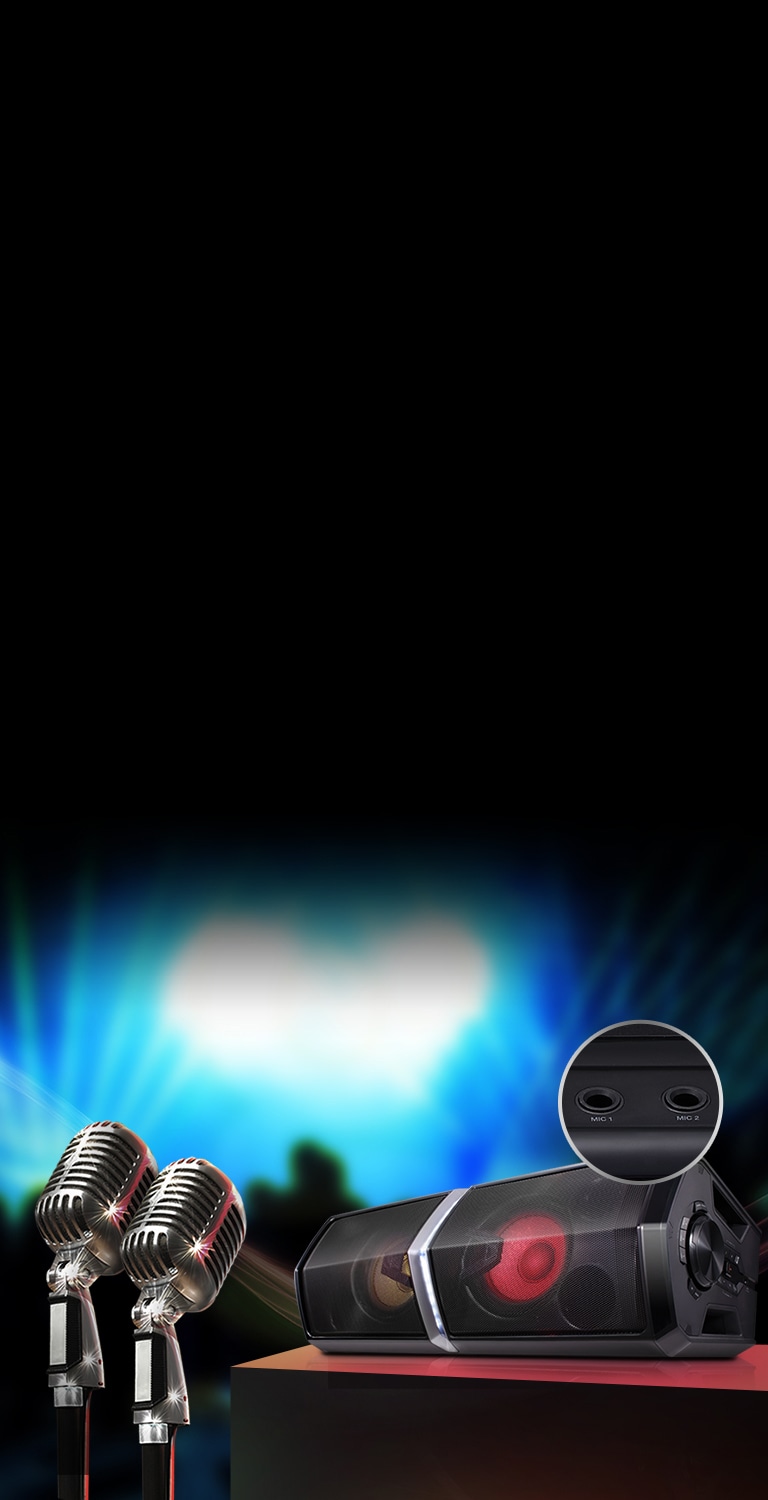 Караоке-виконавець2