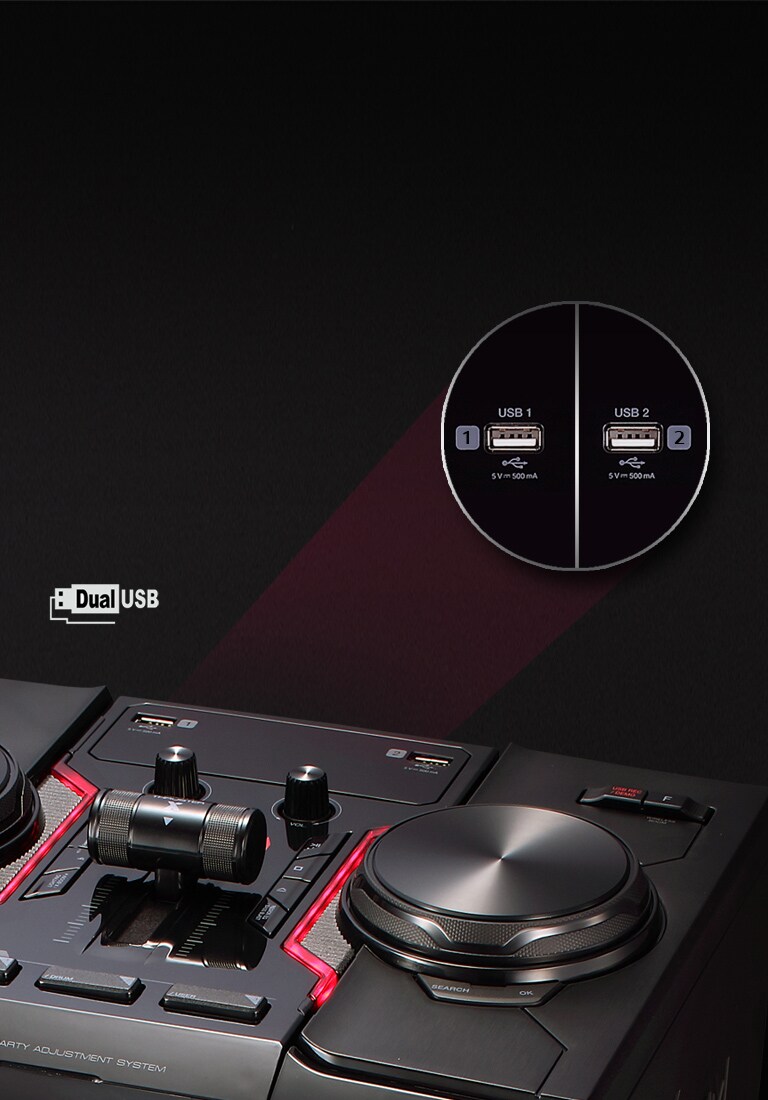 Два роз'єми для USB2