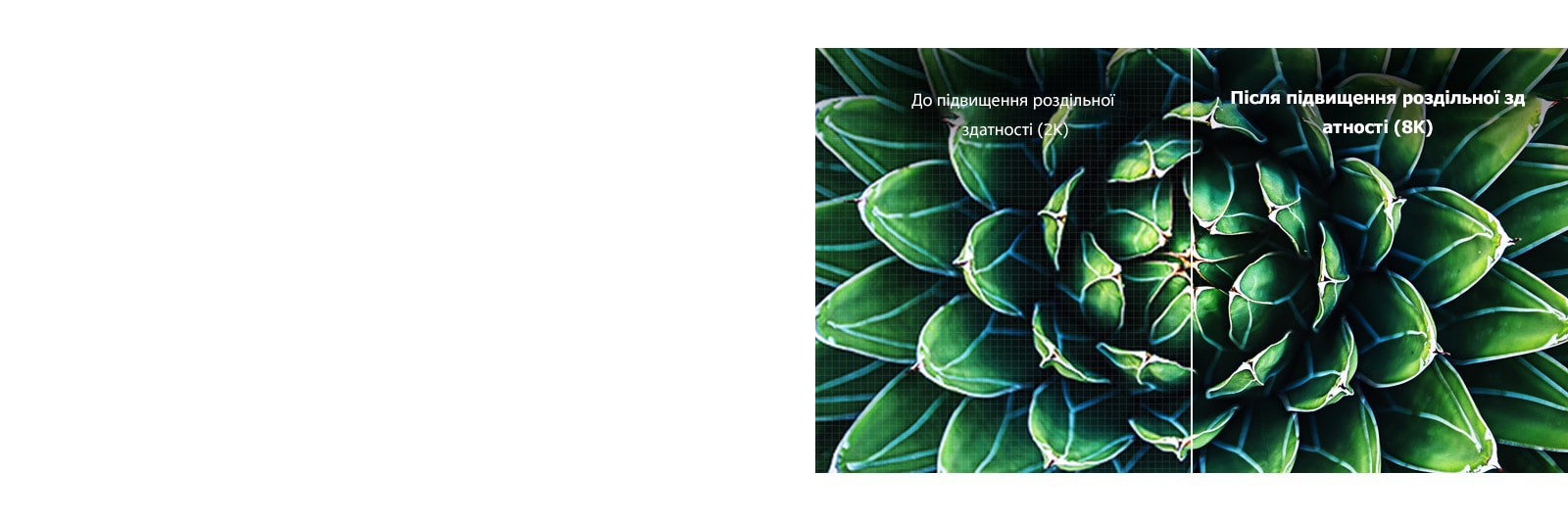 Зображення до й після підвищення роздільної здатності до 8K. Зображення «до» розмите.