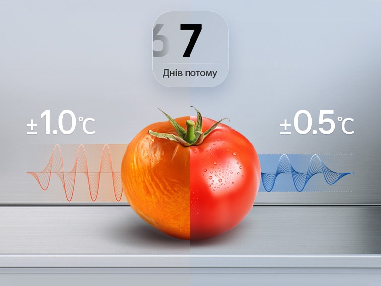 Холодильник LG із нижньою морозильною камерою (GC-B509ETSM), графік: свіжий помідор після 7 днів із синьою кривою коливання температури та позначкою ±0,5°C.