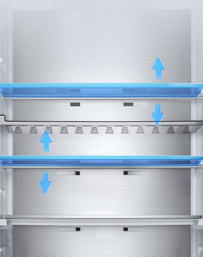 Всередині холодильника п'ять полиць з регульованою висотою, показаними синіми стрілками, що вказують на вертикальне переміщення.