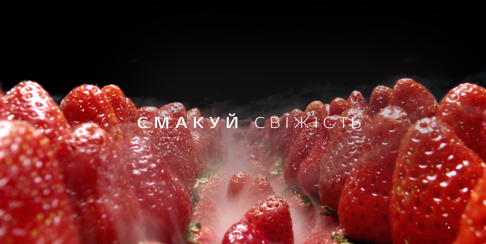 01_1_TASTE-FRESHNESS