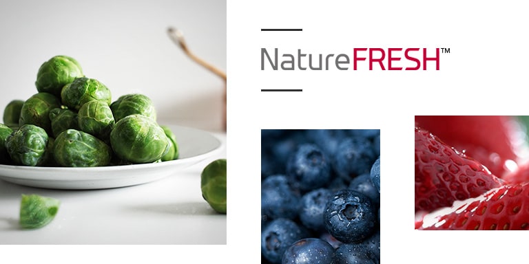 Показано 3 окремі кадри з капустою, чорницею та полуницями, які оповиває повітря. Логотип LG NatureFRESH розташований вгорі посередині.