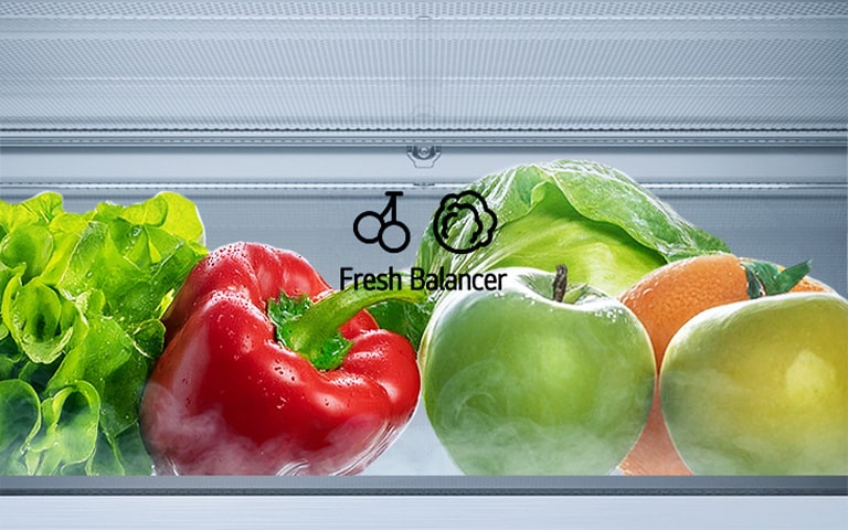 Холодильник LG із нижньою морозильною камерою, зображено відділення Fresh Balancer де зберігаються салат, болгарський перець, апельсини та яблука зі стрілками вгору та вниз, а також крупним планом кришка Moist Balance Crisper.