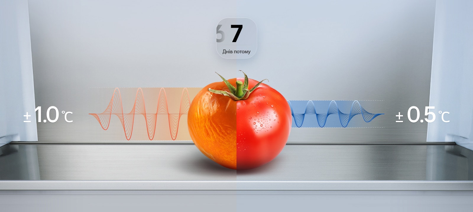Холодильник LG із нижньою морозильною камерою, графік: свіжий помідор після 7 днів із синьою кривою коливання температури та позначкою ±0,5°C.