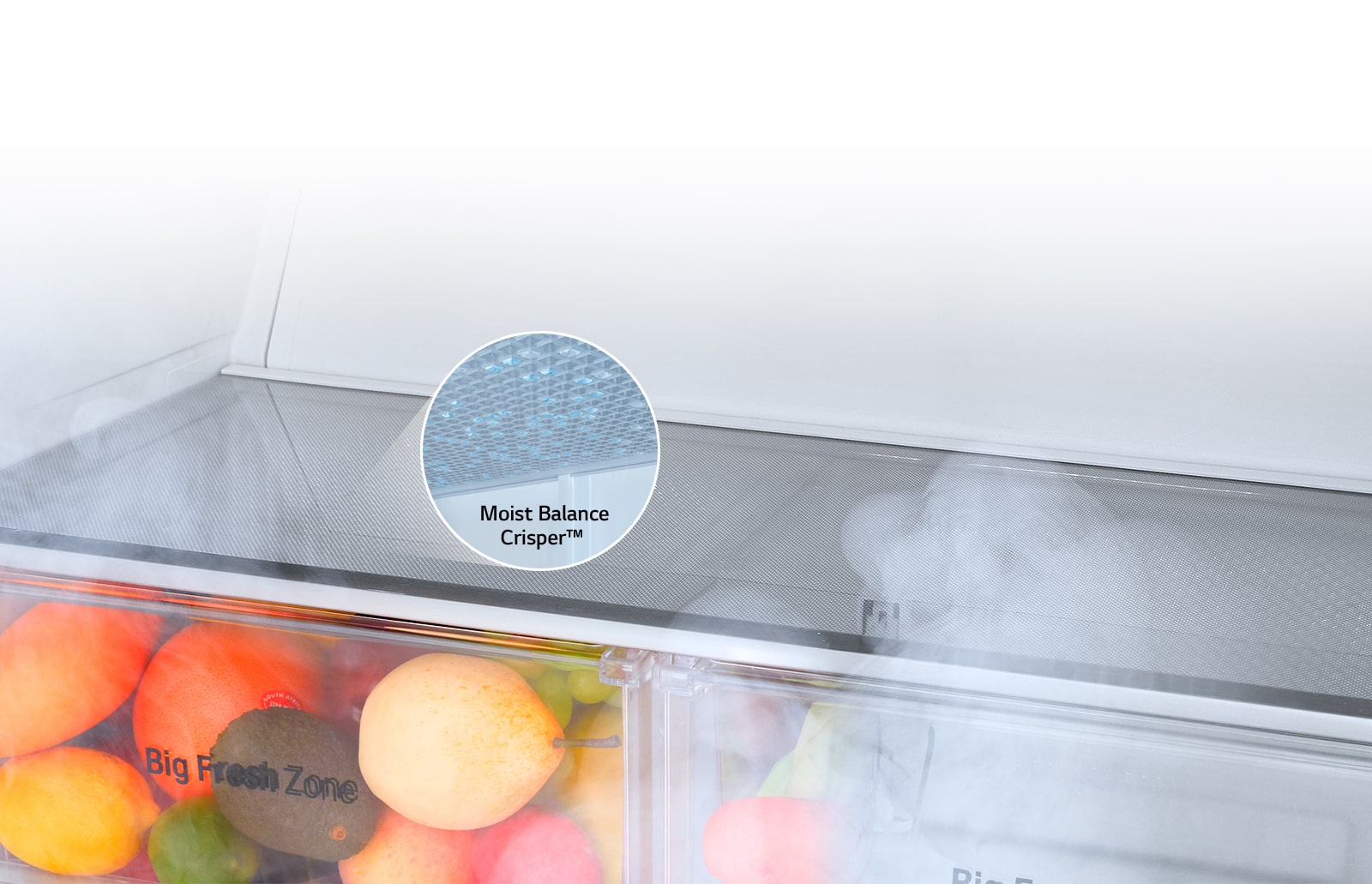 Moist Balance Crisper