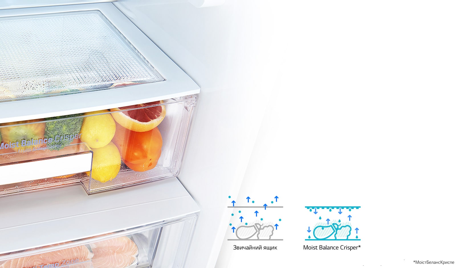 Moist Balance Crisper1