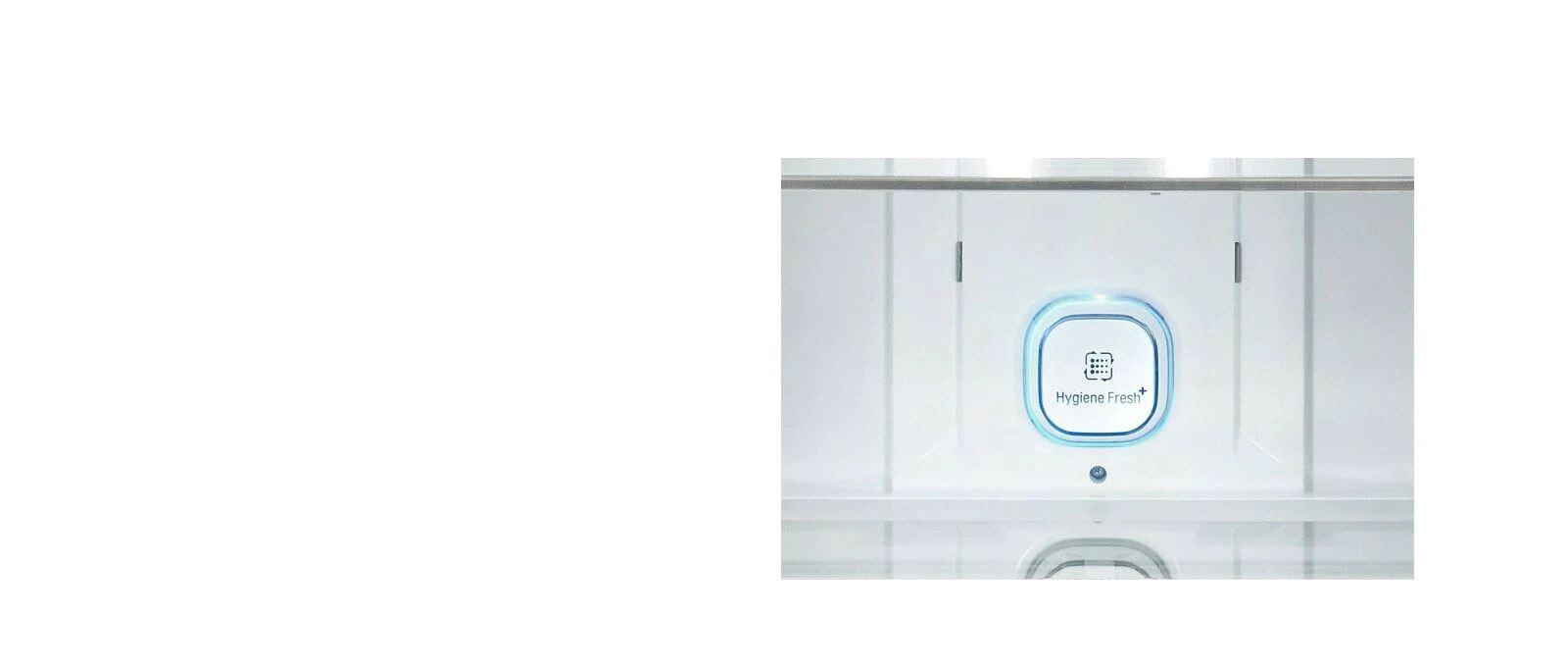 Hygiene Fresh + вбиває до 99,9% бактерій