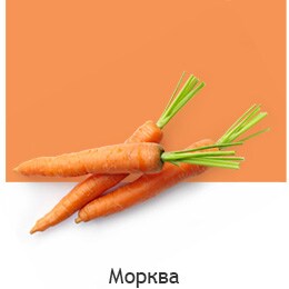 REF-NatureFRESH-Vplus-03-UsefulTips-04-4-Carrots