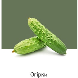 REF-NatureFRESH-Vplus-03-UsefulTips-04-5-Cucumbers