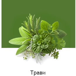 REF-NatureFRESH-Vplus-03-UsefulTips-04-6-Herbs