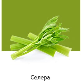 REF-NatureFRESH-Vplus-03-UsefulTips-04-7-Celery