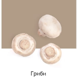 REF-NatureFRESH-Vplus-03-UsefulTips-04-9-Mushrooms