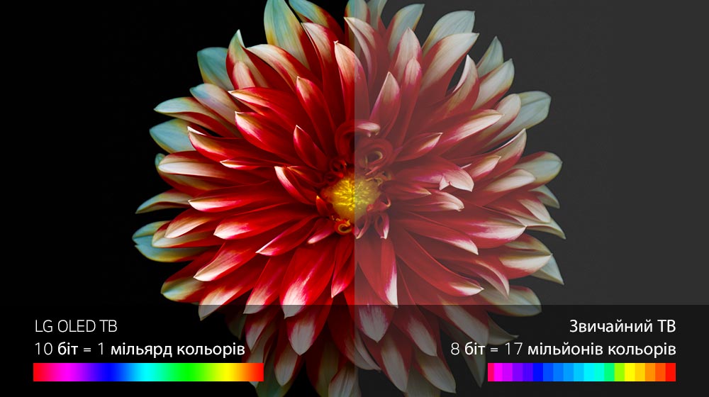 Мистецтво передачі кольору<br>1