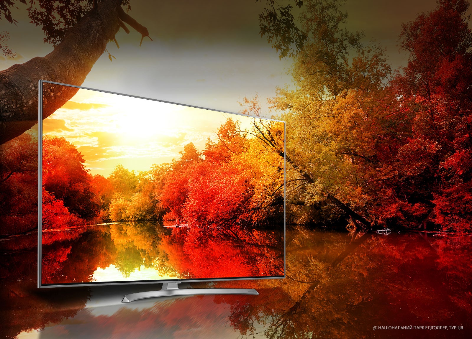 Кольори, що вражають - мільярд насичених відтінків1