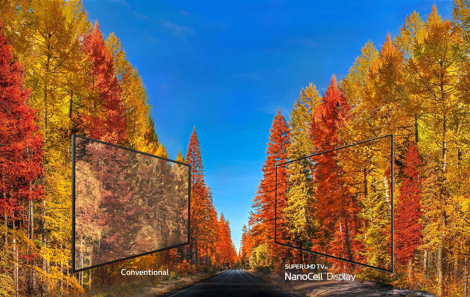 Правда про кольори на екранах телевізорів1