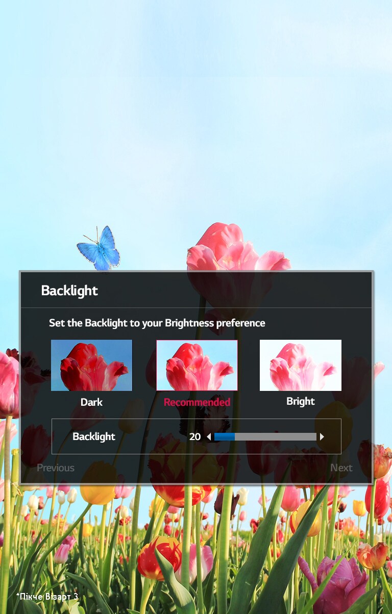 Picture Wizard III*2