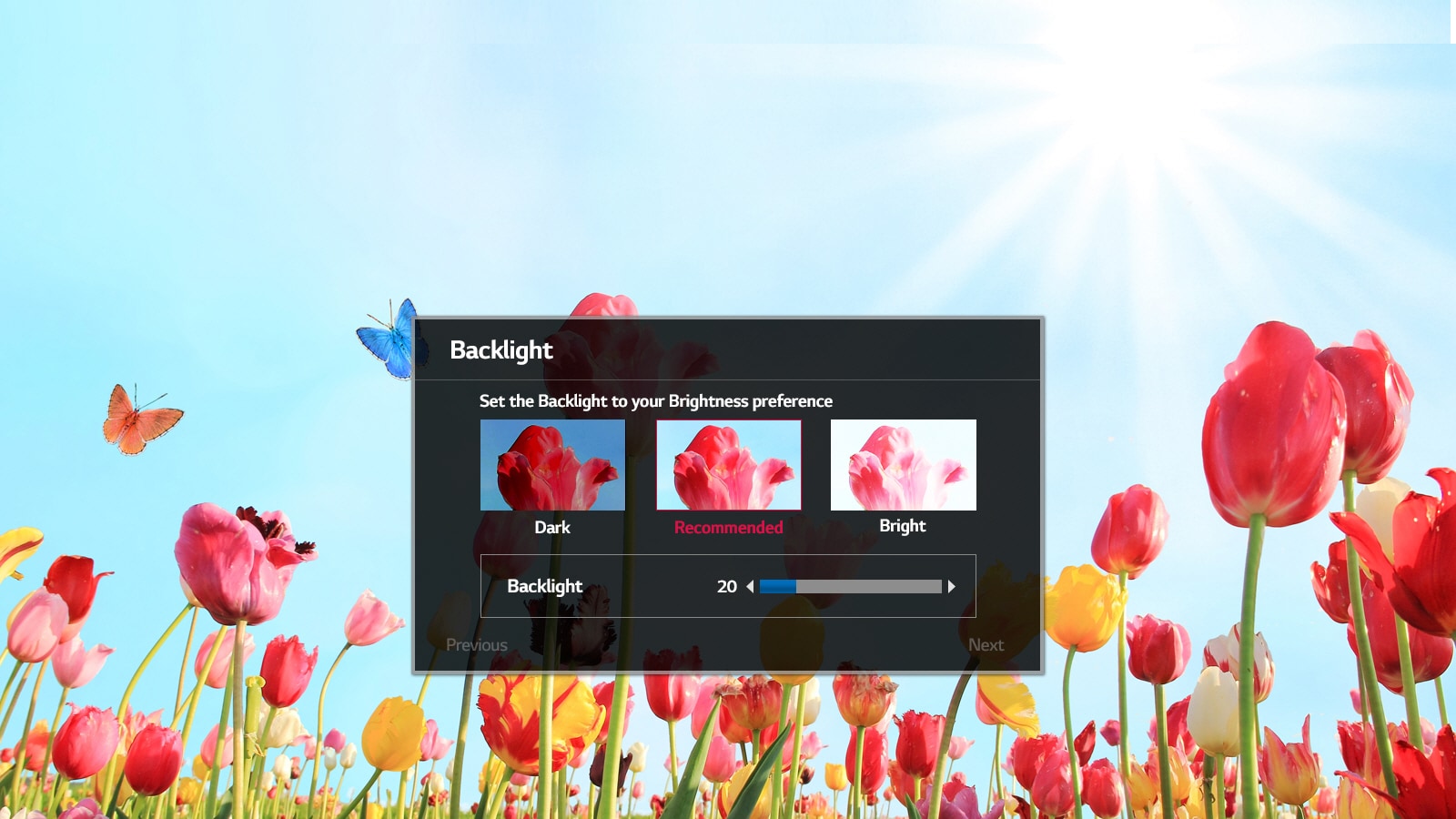  Picture Wizard III 1