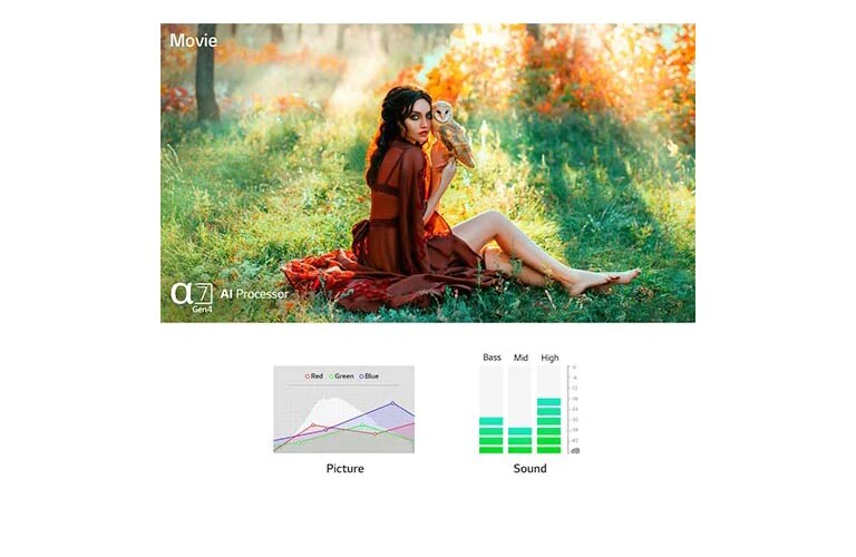 Дві сцени та звук, автоматично оптимізовані на обох зображеннях, створені процесором a9 Gen4 AI (відтворення відео)