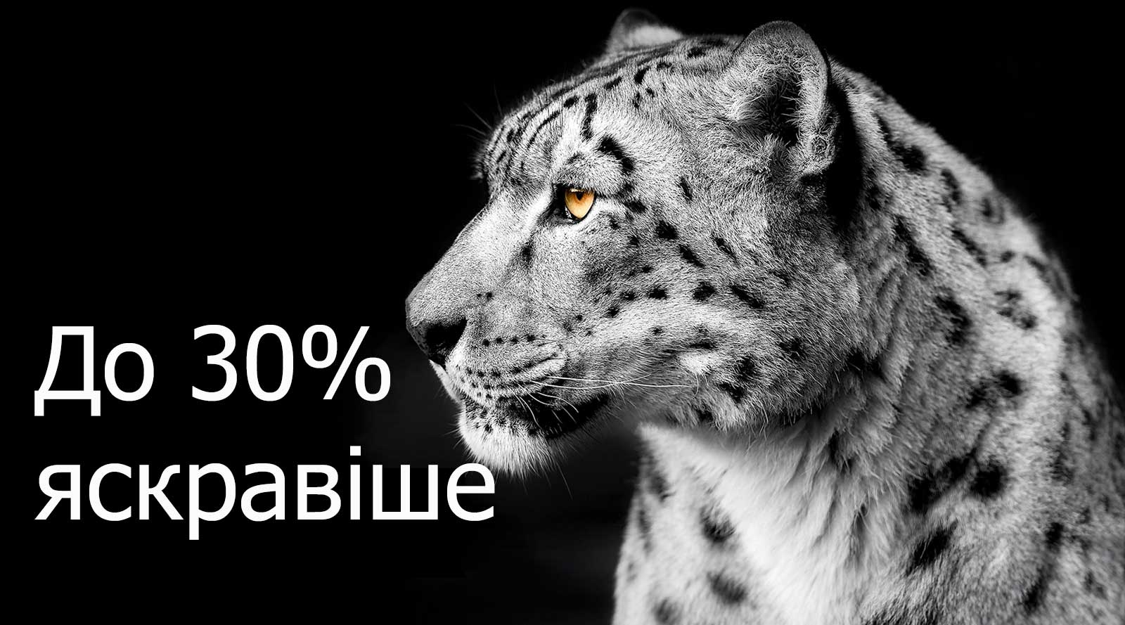 Білий леопард, який показує свою морду в лівій частині зображення. Ліворуч з’являються слова «На 30% яскравіше».