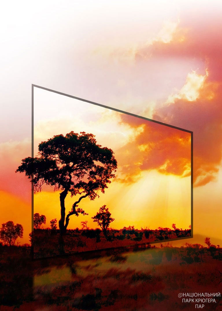 Active HDR - для максимальної якості зображення2