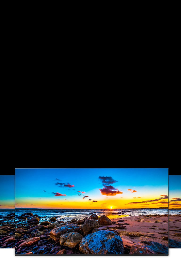 TV screen showing the wide view of nature