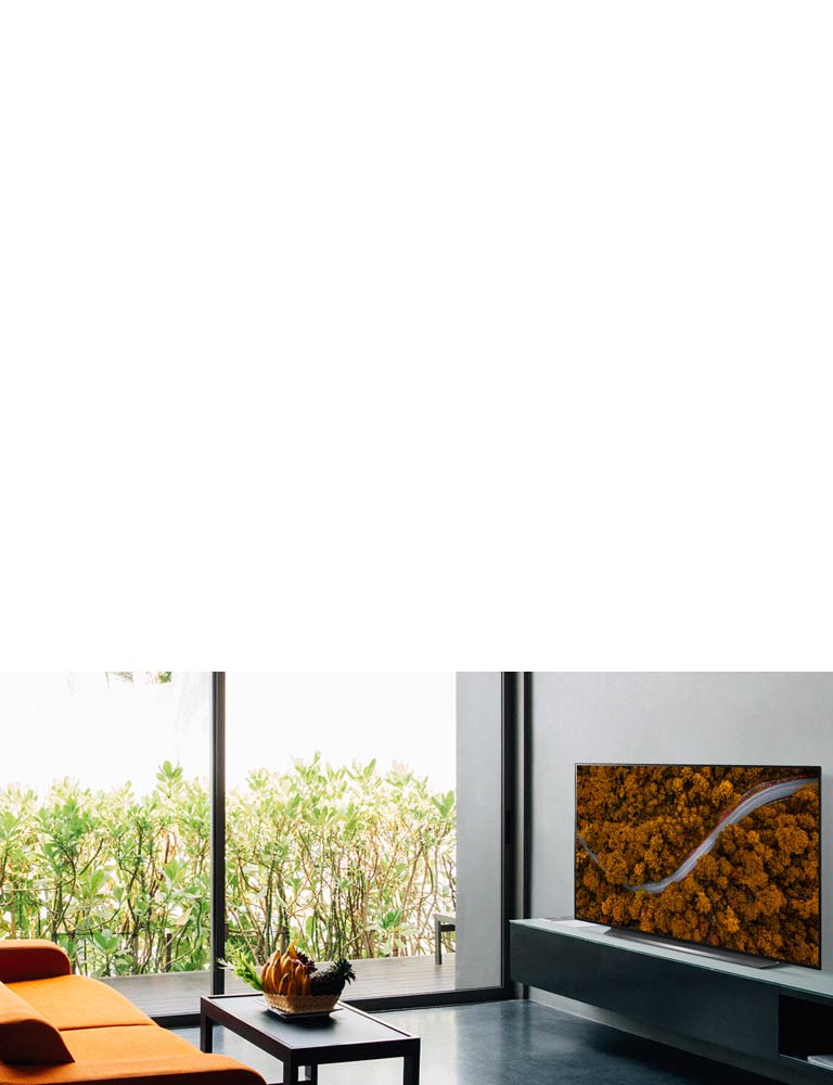 Телевізор, що показує природу з пташиного польоту в розкішному будинку 