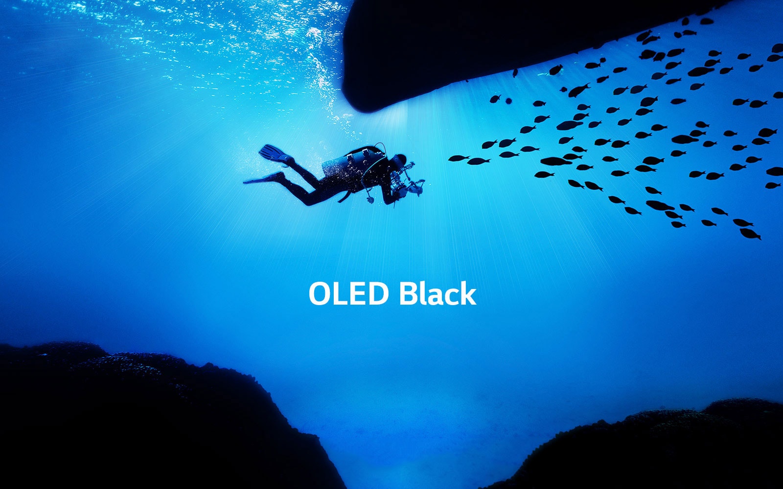 Ідеальний чорний<br>Вдихає життя в зображення1