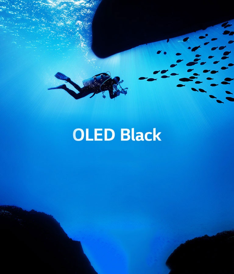 Ідеальний чорний<br>Вдихає життя в зображення2